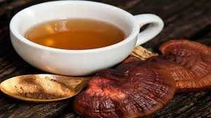 پودر گانودرما نی نی سایت