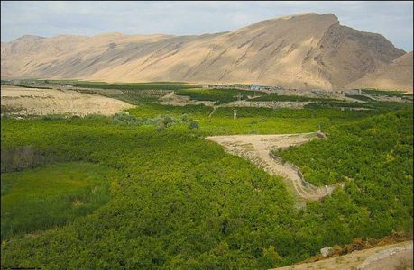 واگذاری ۱۷۲ هکتار از اراضی ملی استان مرکزی برای تولید انرژی پاک - خبرگزاری مهر | اخبار ایران و جهان