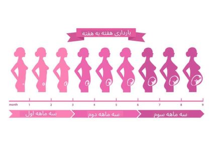 در ماه سوم بارداری چه تغییراتی در شکم مادر رخ می‌دهد؟