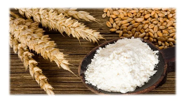 پودر نشاسته گندم: ویژگی ها، کاربردها و مزایای آن در صنایع مختلف